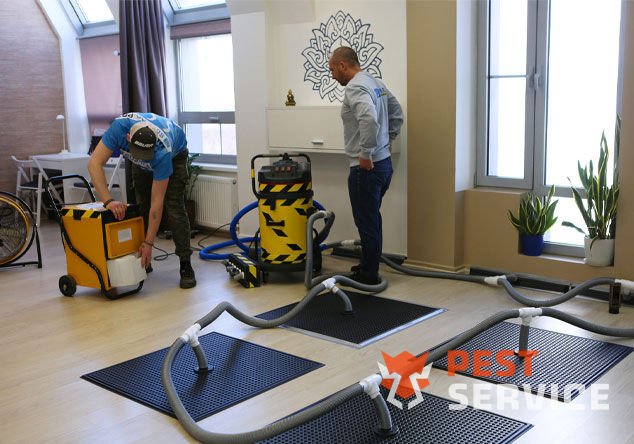 Профессиональная сушка после потопа в Миассе от 3000 руб. Быстро устраняем влагу, предотвращаем плесень и повреждения. Современное оборудование и опытные специалисты. Безопасно и эффективно.